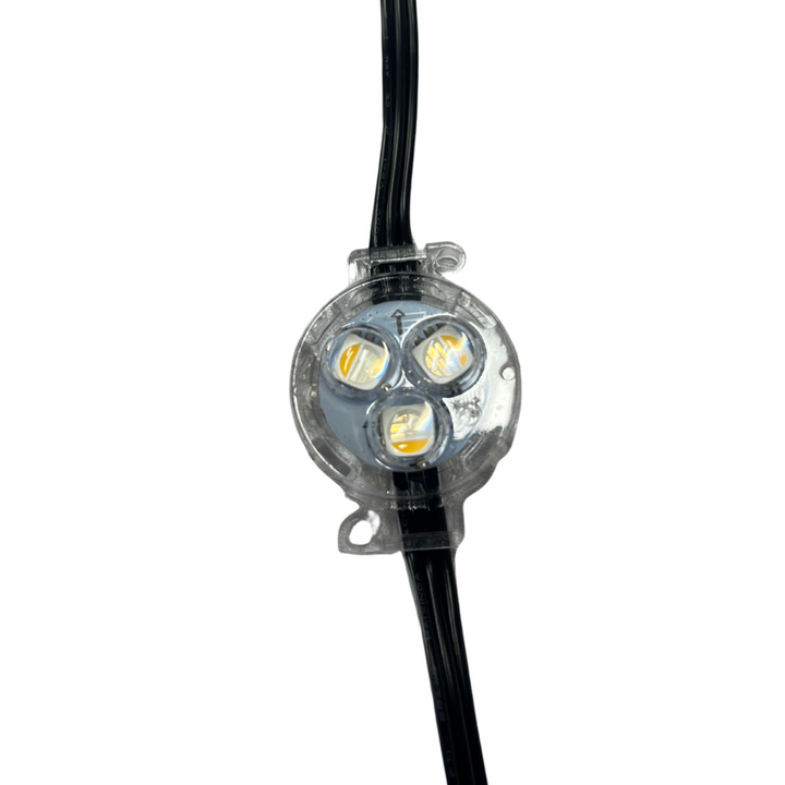 RGBW 12 Volt LED single light features three bright LEDs, ideal for vibrant lighting solutions. Perfect for any project.