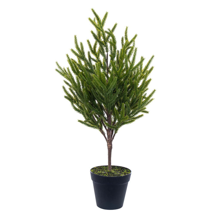 Decorate your space with this 23.5" Potted Green Norfolk Pine Tree, perfect for any indoor setting.