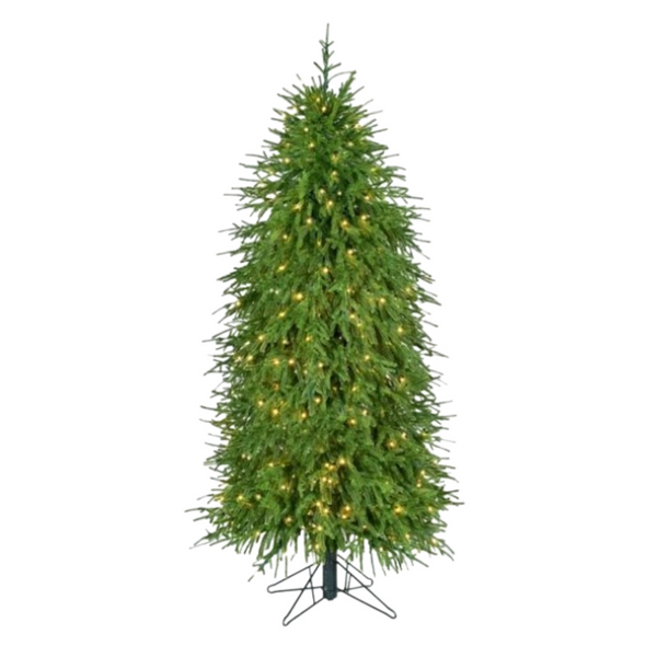 5' 3mLED EP NAT TCH NORFOLK TREE434T 31"D350L