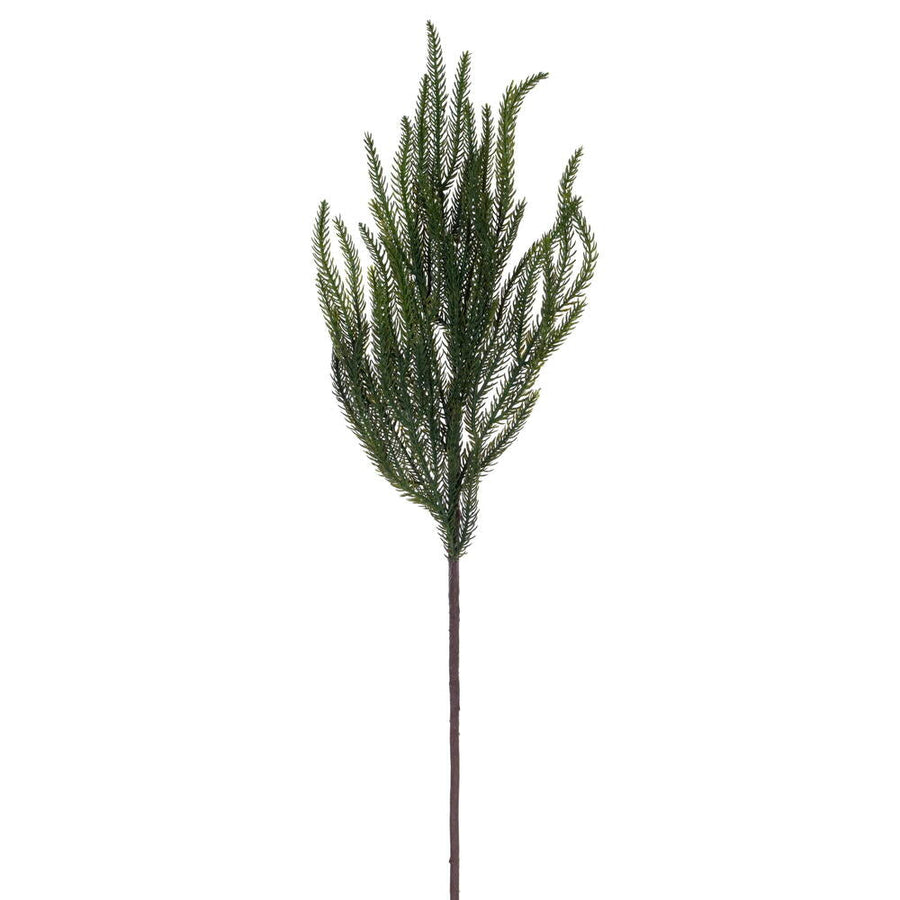 24.5" Green Norfolk Pine Spray - Set of 6