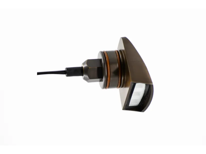Lumien Brass Antique Hooded Surface Wall Light