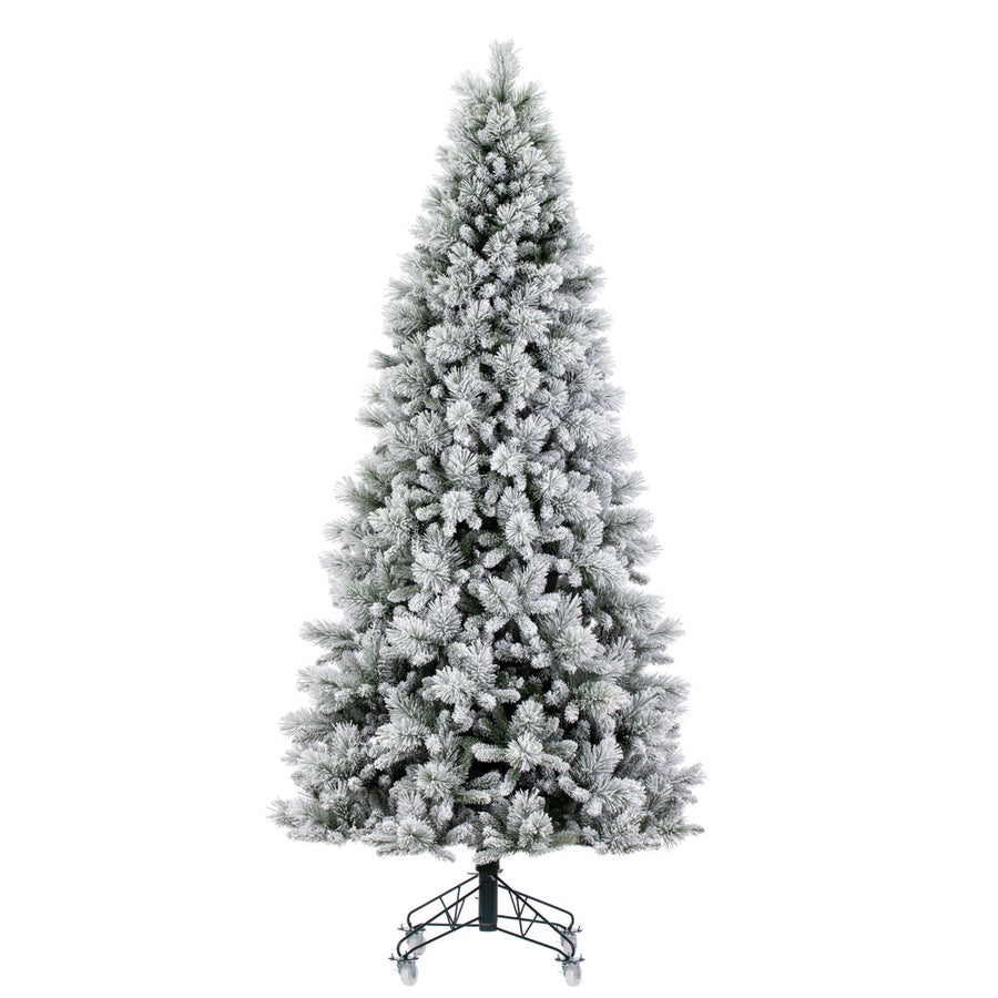 Flocked Jackson Tree (7.5' -12')