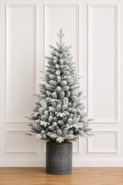 6' Frosted Spruce Accent Tree - Prelit 6' x 39"