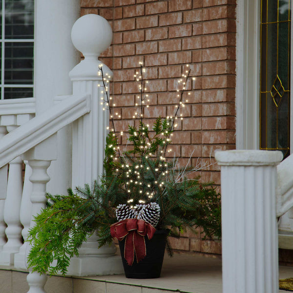 Big Seed Cluster Twigs - Warm White LED
