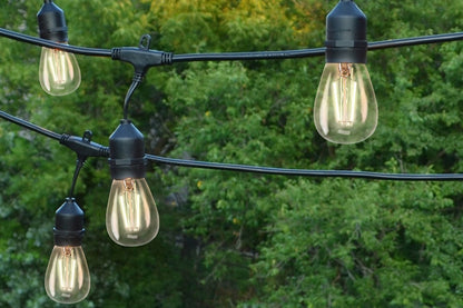 S14 - Double Filament - Warm White - 12v - 1 Watt — view 2