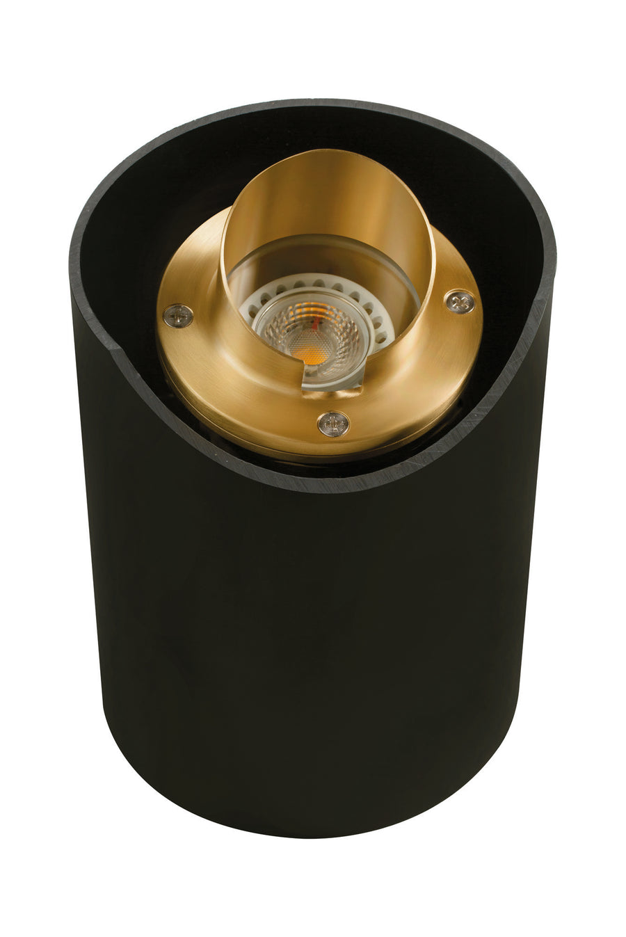 Brass Adjustable Hooded Well Light, Natural Brass, No Lamp