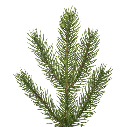 Layered Balsam Christmas Tree with Multi Function Dual LED (Multi and Warm White) Lights (6.5' - 12')