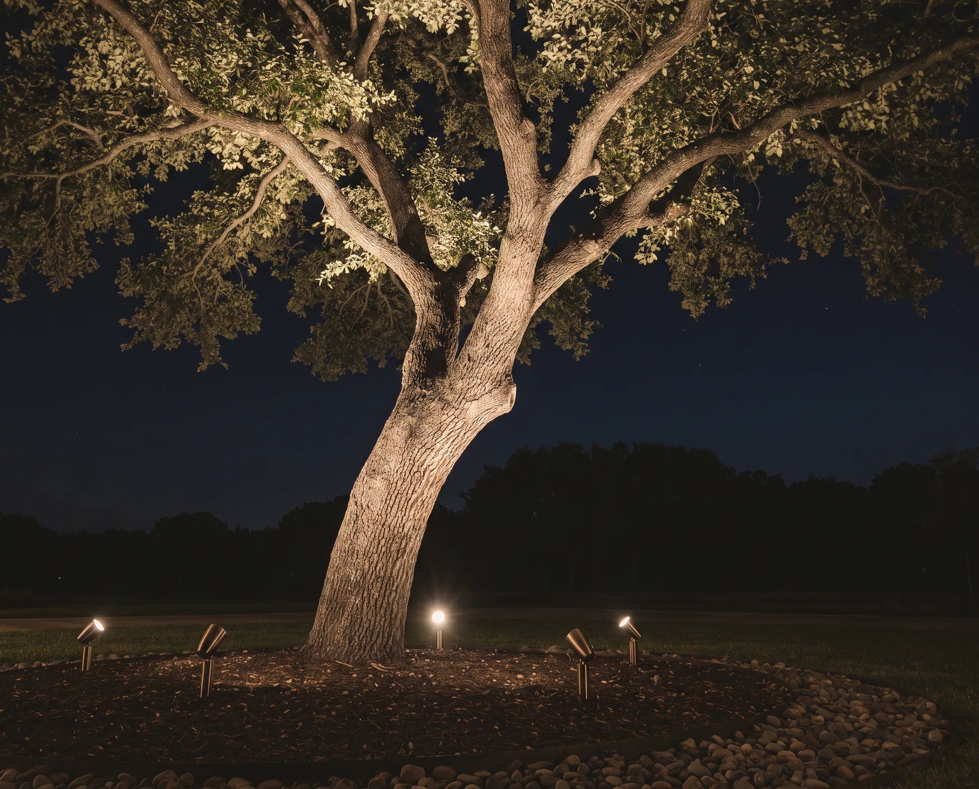 Low Voltage Landscape Lighting