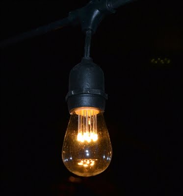 30.5′ LED Vintage Patio Light Strand – 15 Bulbs – 24″ Spacing