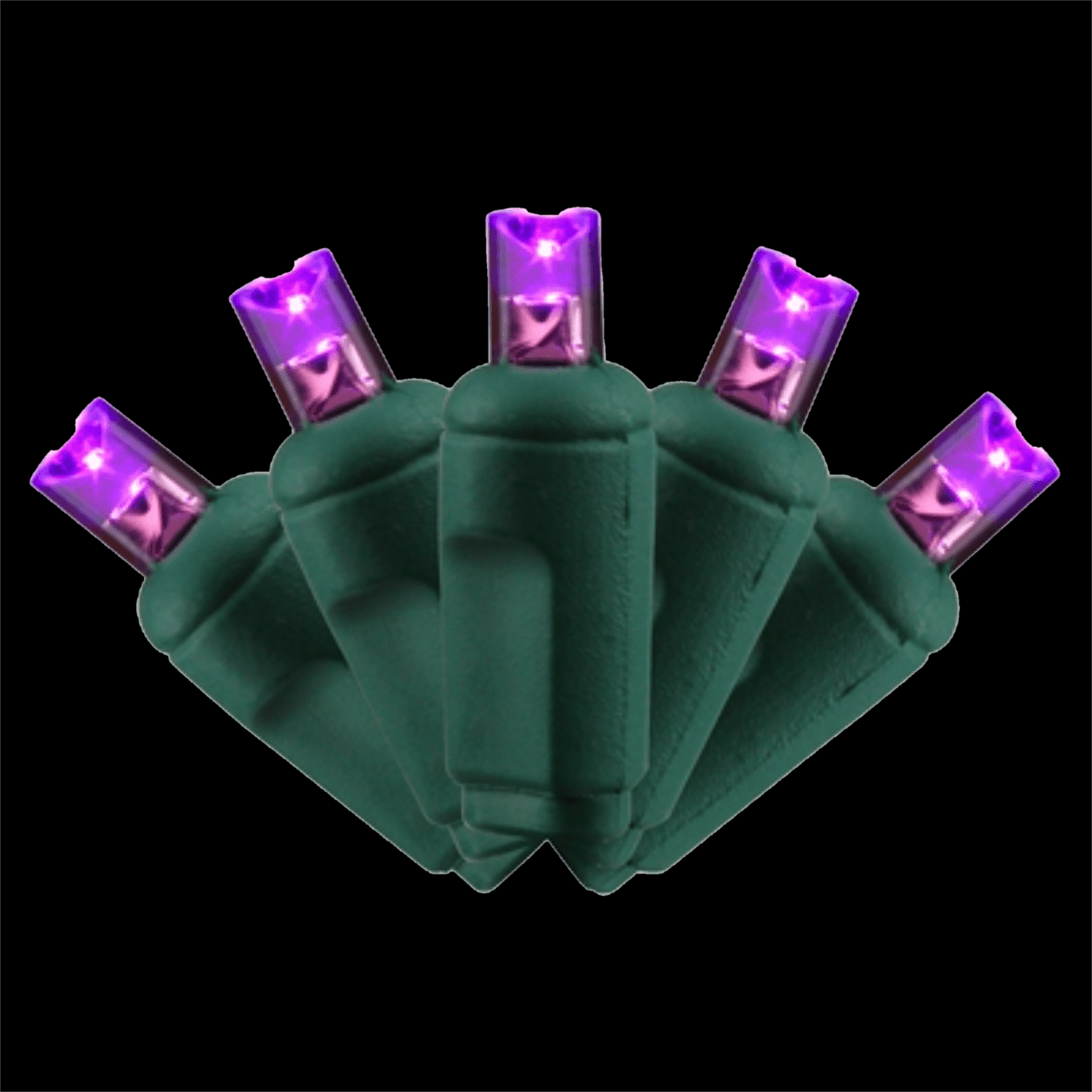 50 Light 5MM Light Set – Purple – 6″ Spacing