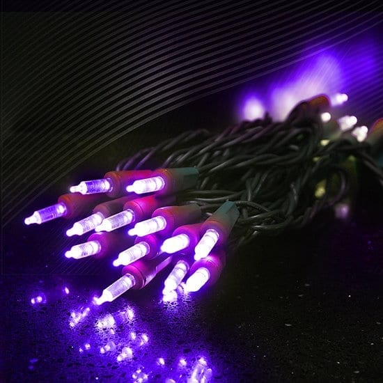 50 Light T5 Light Set – Purple