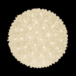 7.5" starlight sphere warm white